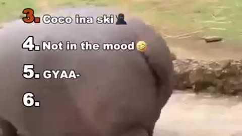 Best Medazelli funny moments