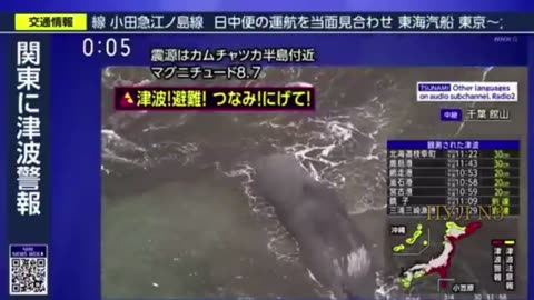 В Японии на берег выбросило несколько китов в результате цунами: