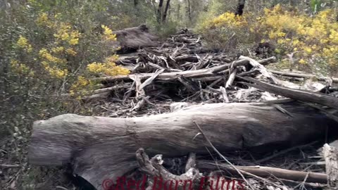 Exploring a national park 1