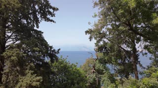 Excado Yolo Morning Calm Lofi