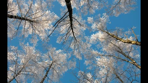 Heavenletter 6523 Published on December 2018 Channeled by Gloria Wendroff
