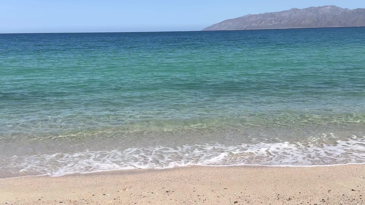 Can Consciousness Change Water