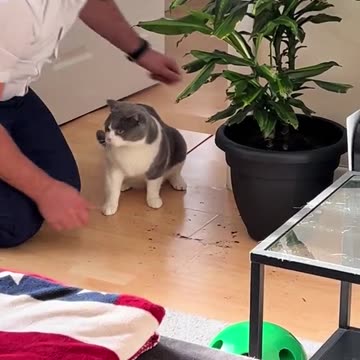 Let’s see if he learned his lesson 😂