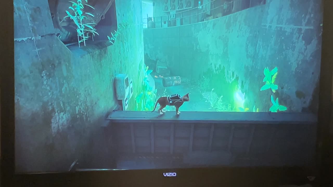 Stray part 5