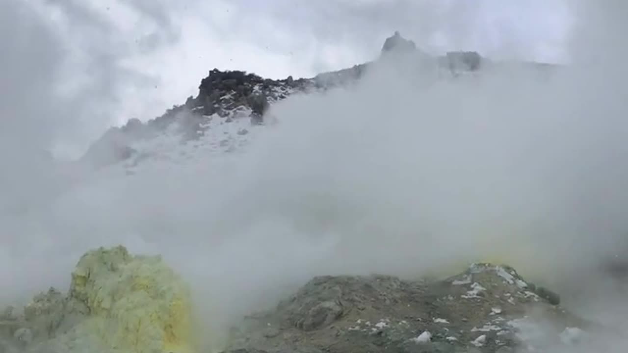 Daily Horoscope | Capricorn 🌟