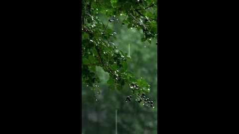 Silent Haven – a home built from stillness.