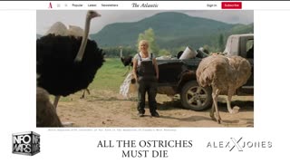 ALEX JONES - INFOWARS LIVE - ALEXJONES.NETWORK - THERE'S A WAR ON FOR YOUR MIND! ➡ THE ALEX JONES SHOW • THE AMERICAN JOURNAL WITH BREANNA MORELLO • WAR ROOM WITH HARRISON SMITH