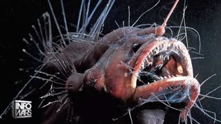 ALEX JONES - INFOWARS LIVE - ALEXJONES.NETWORK - THERE'S A WAR ON FOR YOUR MIND! ➡ THE ALEX JONES SHOW • THE AMERICAN JOURNAL WITH BREANNA MORELLO • WAR ROOM WITH HARRISON SMITH