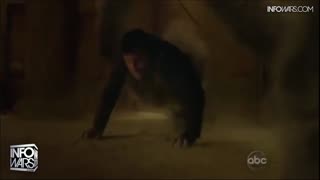 ALEX JONES - INFOWARS LIVE - ALEXJONES.NETWORK - THERE'S A WAR ON FOR YOUR MIND! ➡ THE ALEX JONES SHOW • THE AMERICAN JOURNAL WITH BREANNA MORELLO • WAR ROOM WITH HARRISON SMITH