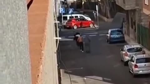 Arabs vs Africans in Spain. Is this Europe where you want to raise your children?