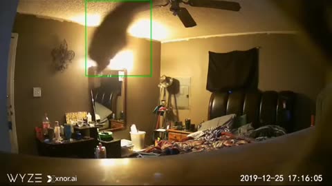 😨👻 What is This Dark Entity? | TheHauntingHour