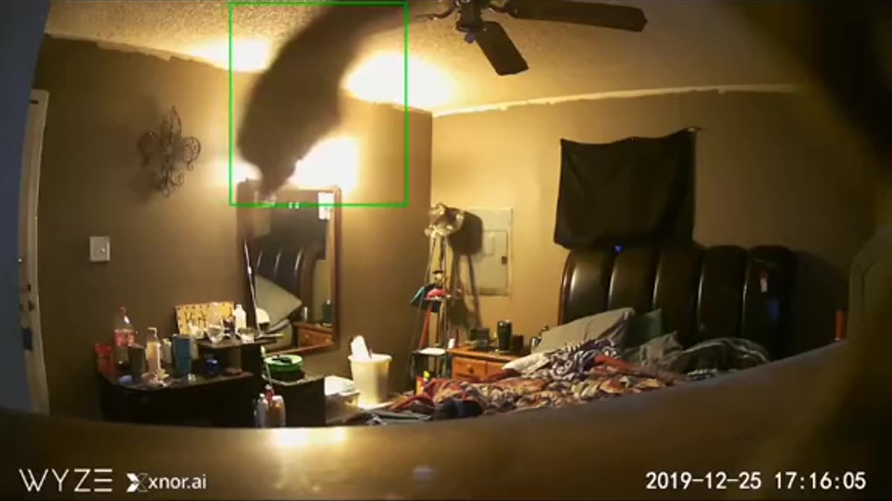 😨👻 What is This Dark Entity? | TheHauntingHour