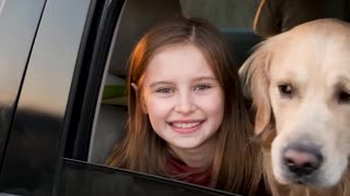 Car Dog Hammock “Travel Buddy Mk. II” Owleys
