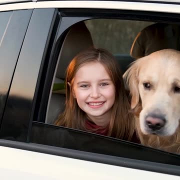 Car Dog Hammock “Travel Buddy Mk. II” Owleys