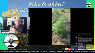 Rise ‘N Shine! It's Marijuana Time! Wake ‘N Bake Show - Ep 231 June 25, 2025