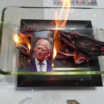 Tim Rifat TikTok Videos