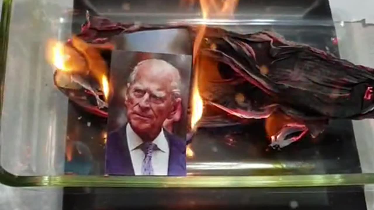 Tim Rifat TikTok Videos