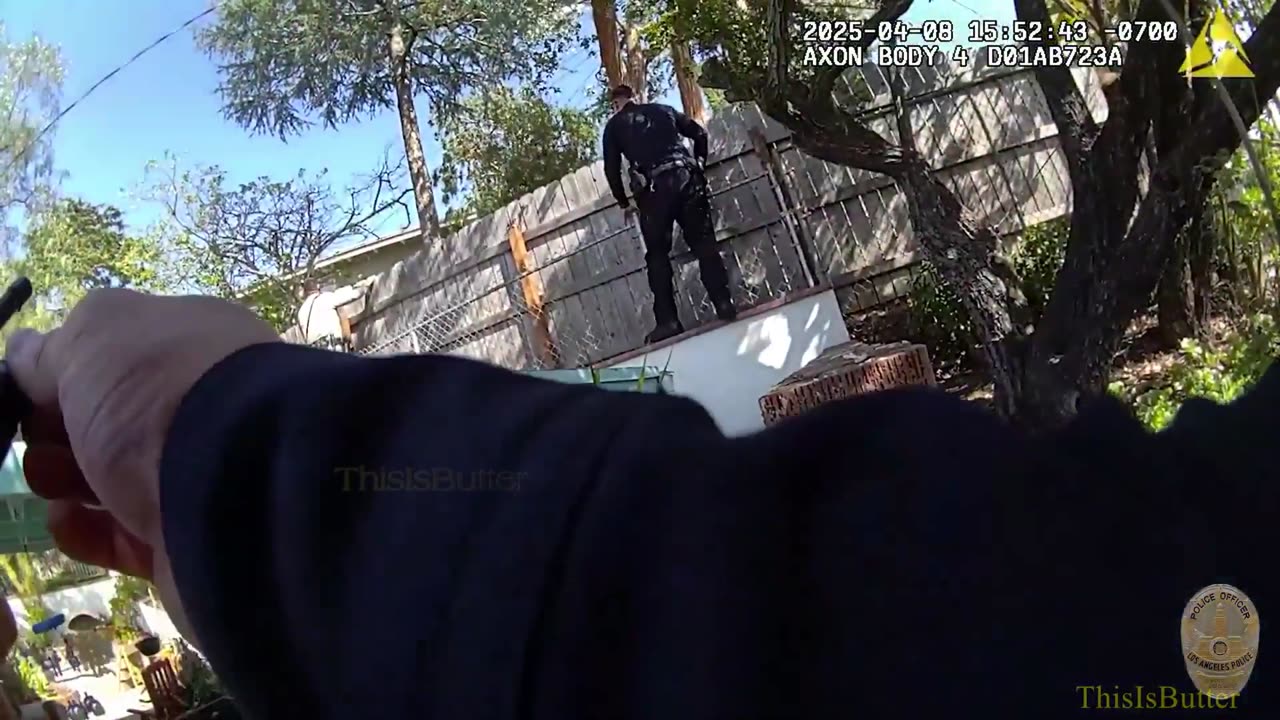 LAPD bodycam video shows moment officers shot Weezer bassist wife, Jillian Shriner