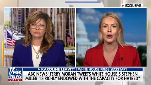 Karoline Leavitt Slams ABC's So Called Journalist Terry Moran
