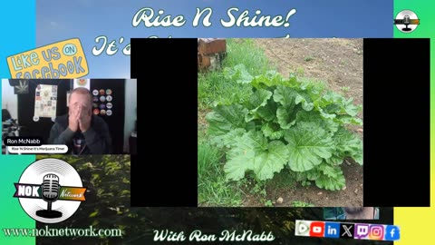 Rise ‘N Shine! It's Marijuana Time! Wake ‘N Bake Show - Ep 194 May 19, 2025