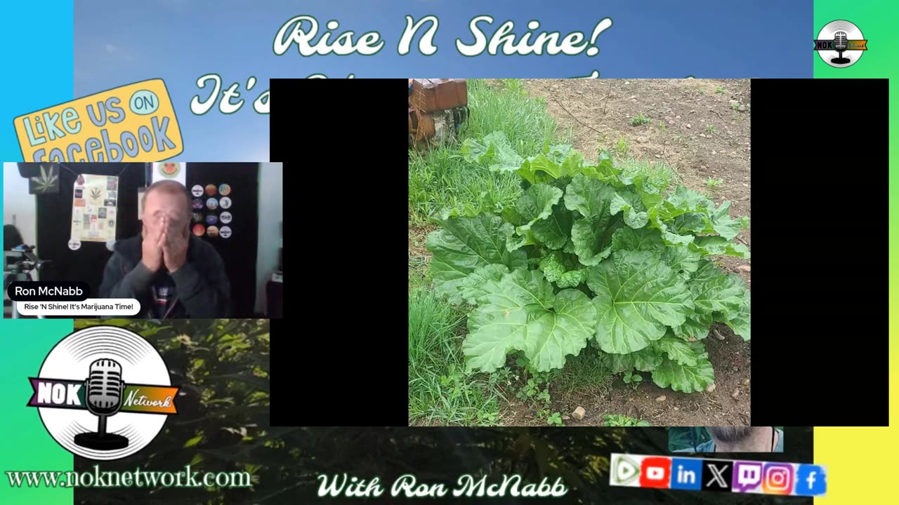 Rise ‘N Shine! It's Marijuana Time! Wake ‘N Bake Show - Ep 194 May 19, 2025