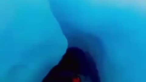 Antarctica be like