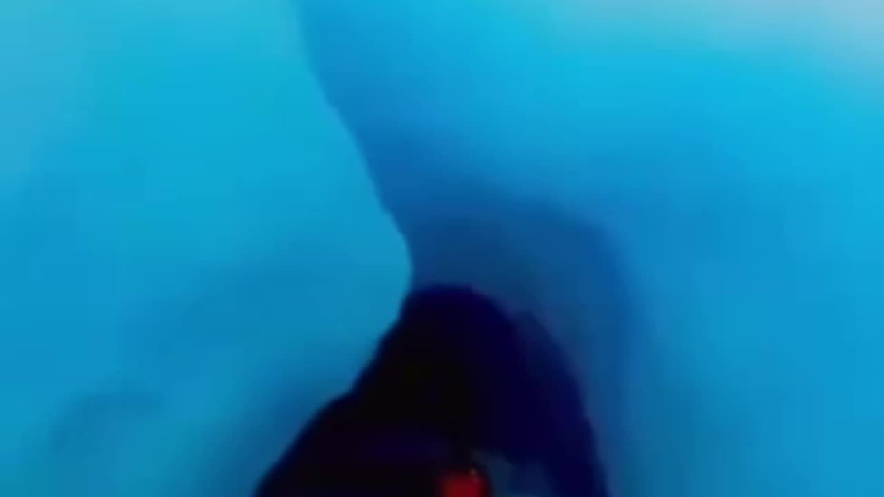 Antarctica be like