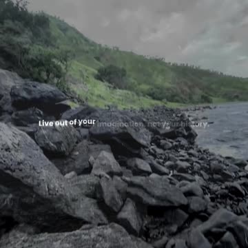 Live out of your imagination, not your history.