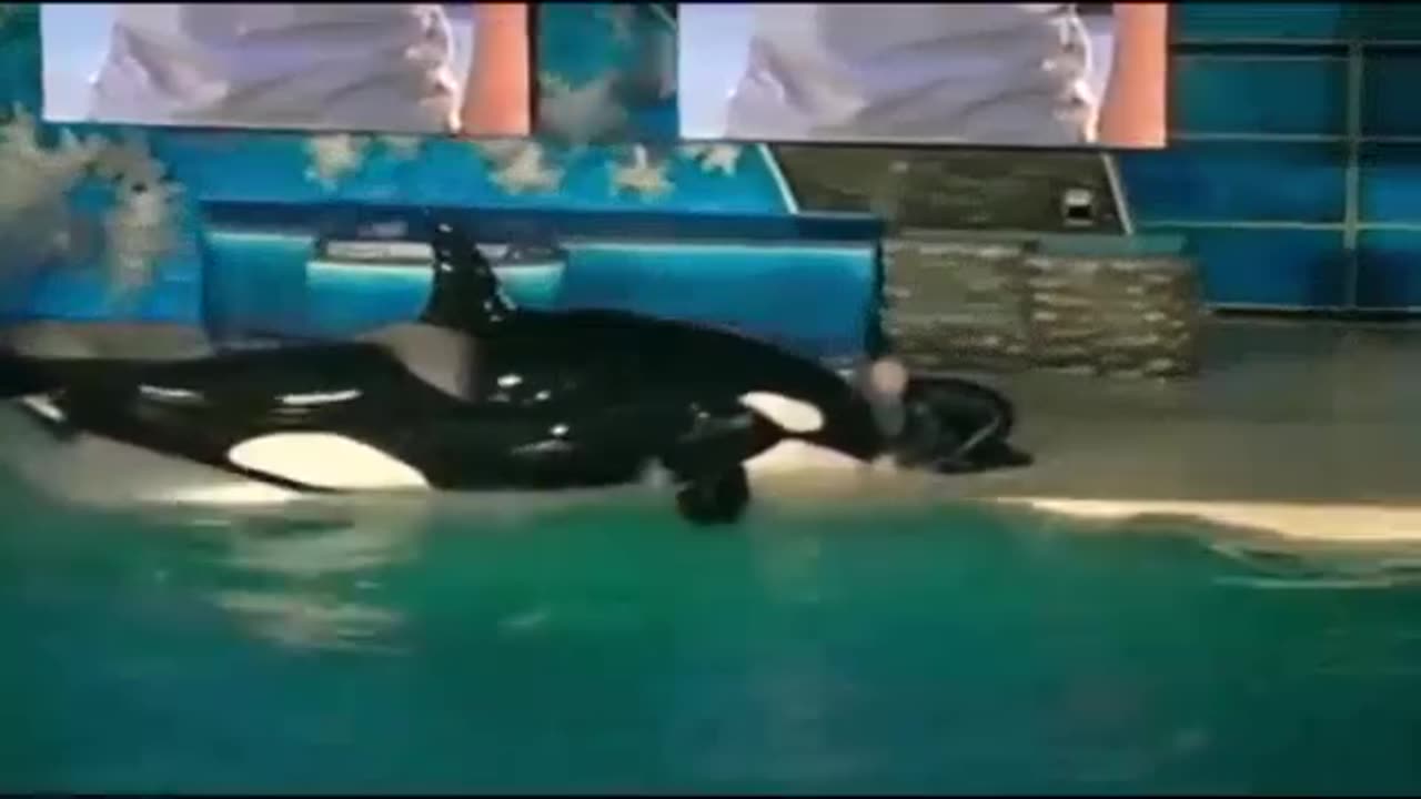 Wow