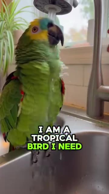 Parrot 🦜 Refusal