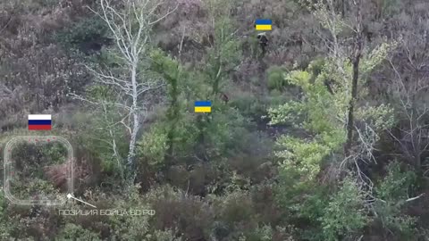 Near Kupyansk, Russian Soldier Alone Destroys Ukrainian Sabotage Group
