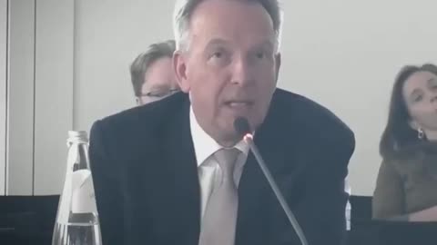 Förintande tysk pLandemikritik