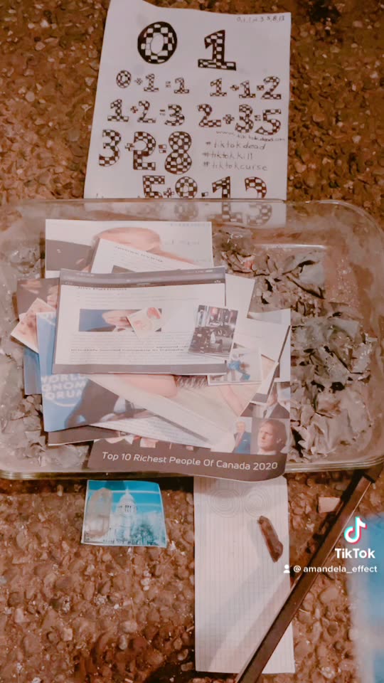 Tim Rifat TikTok Videos