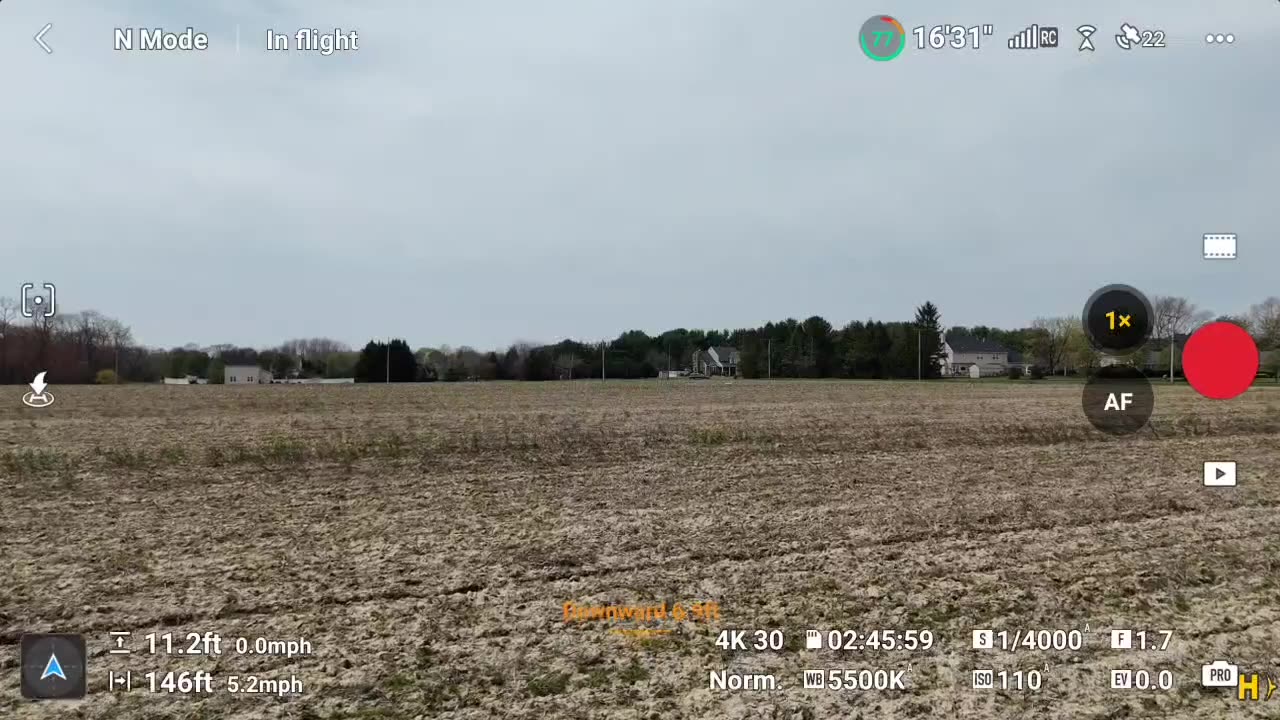 DJI Flip flies in the wind