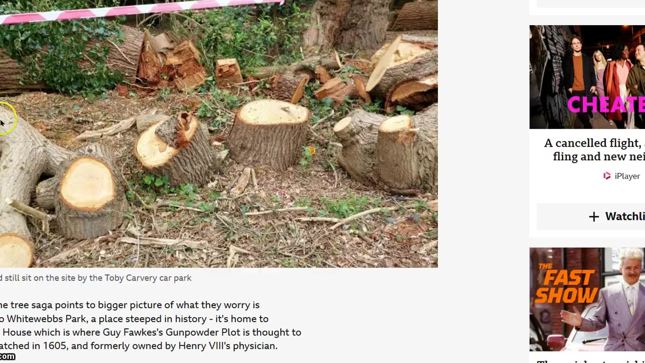 Seeing the Wood in the trees