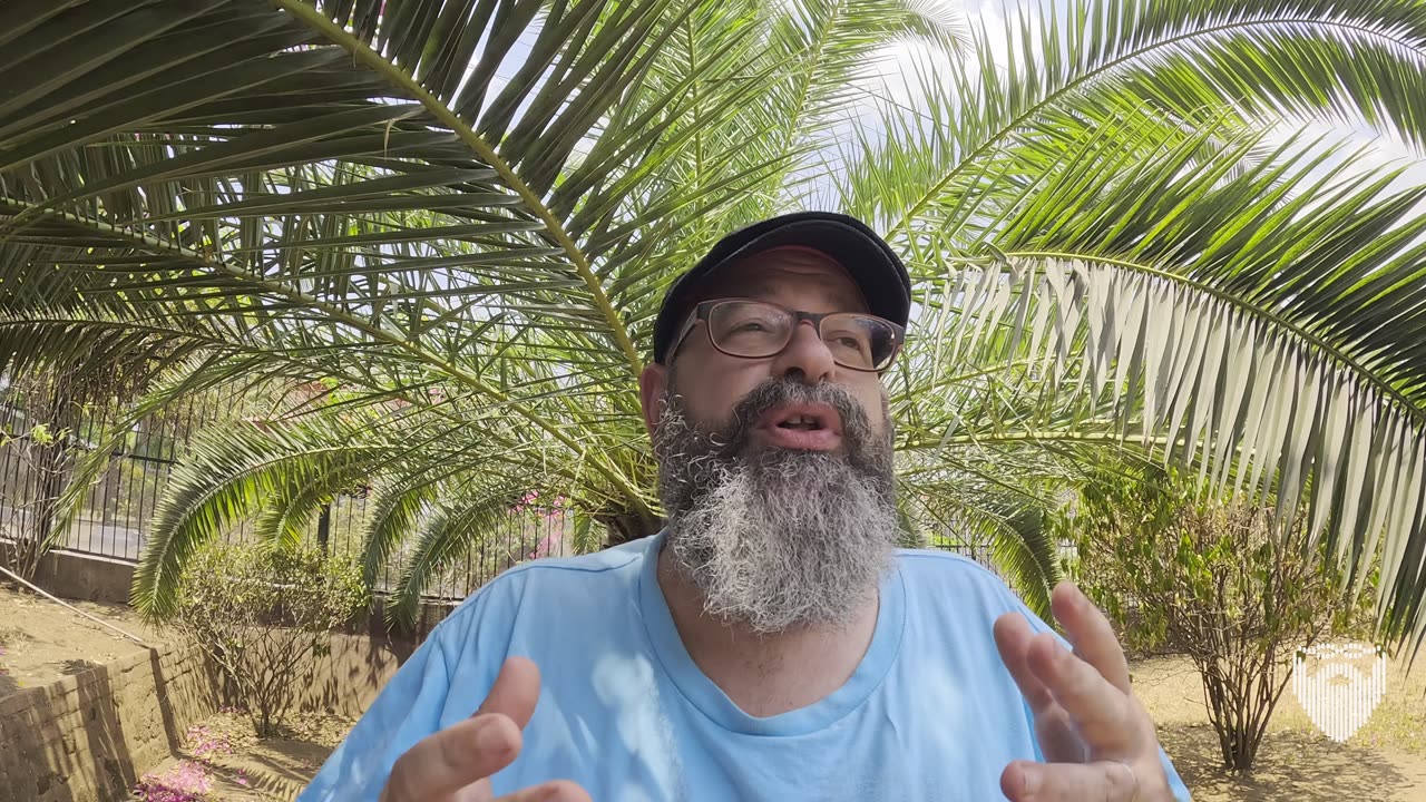 Why Belize, El Salvador and Honduras Didnt Make the Shortlist 🇭🇳 🇧🇿 🇸🇻