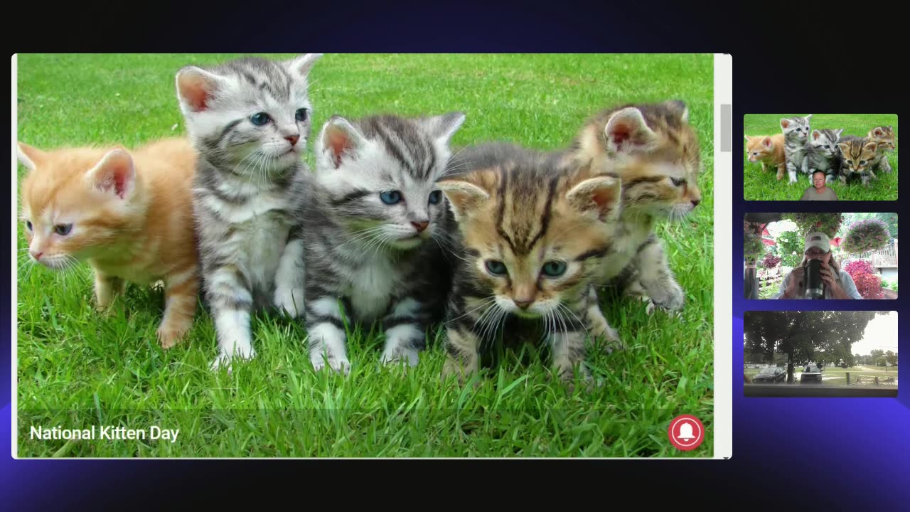 Ahoy The Ship Show - 07/10/2025