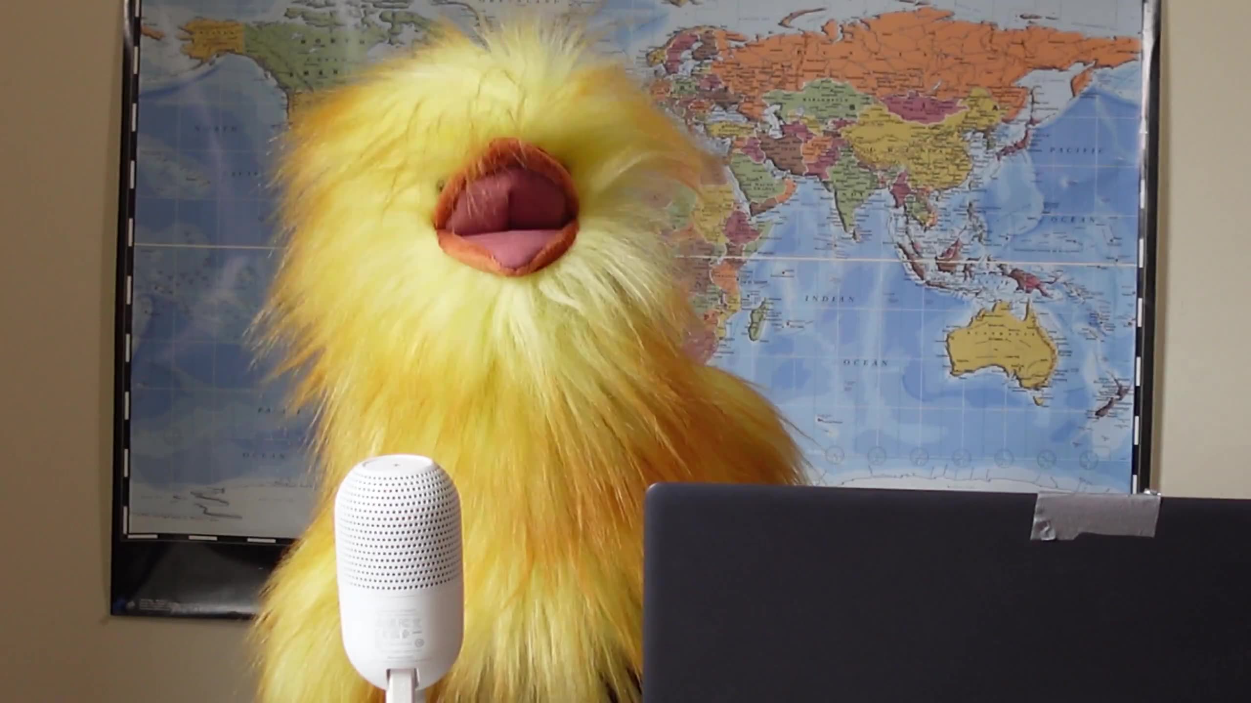 Henrietta fed-up with the Chief of Police in Toronto..