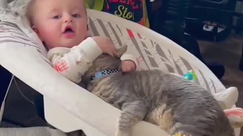 "Cuteness level: 100 out of 10 🐱💞"