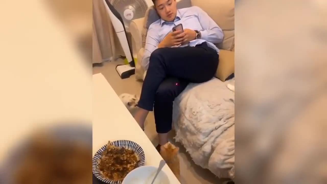 πΎπ Funny Pet Interactions! πΆπ±π€£