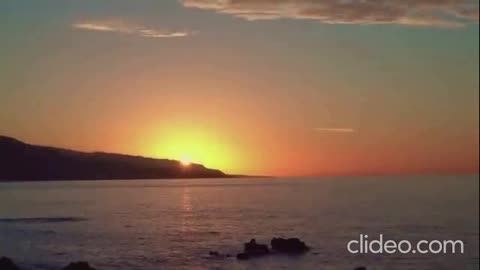 MURS ft. Phonte - The Animal (VIDEO)