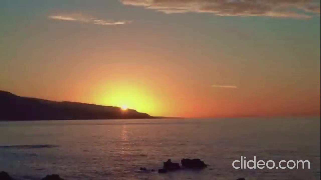 MURS ft. Phonte - The Animal (VIDEO)