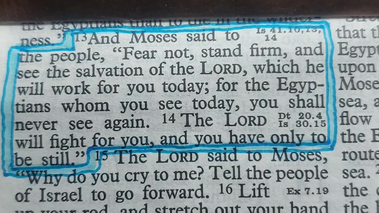 “The LORD will fight for you while you keep silent.”