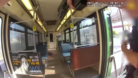 Crazed Man With a Butcher Knife on Sacramento Public Transit Train - Warning (Graphic Content)