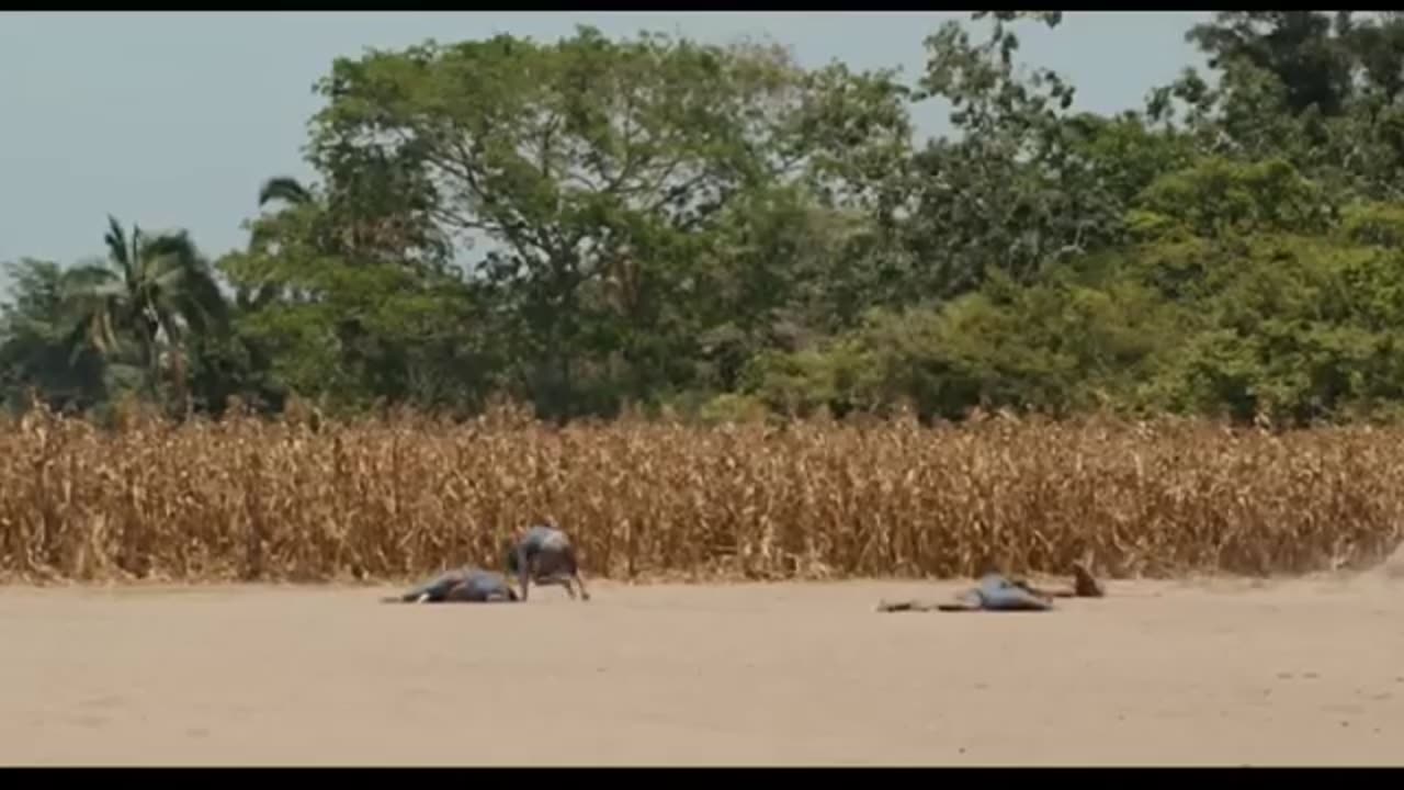 The Good left undone Rise Against Apocalypto