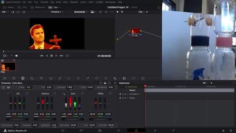 Lev &Virginia? Spider Pairing: Audax (Bold) Jumping Spider. Christian Love LIVE