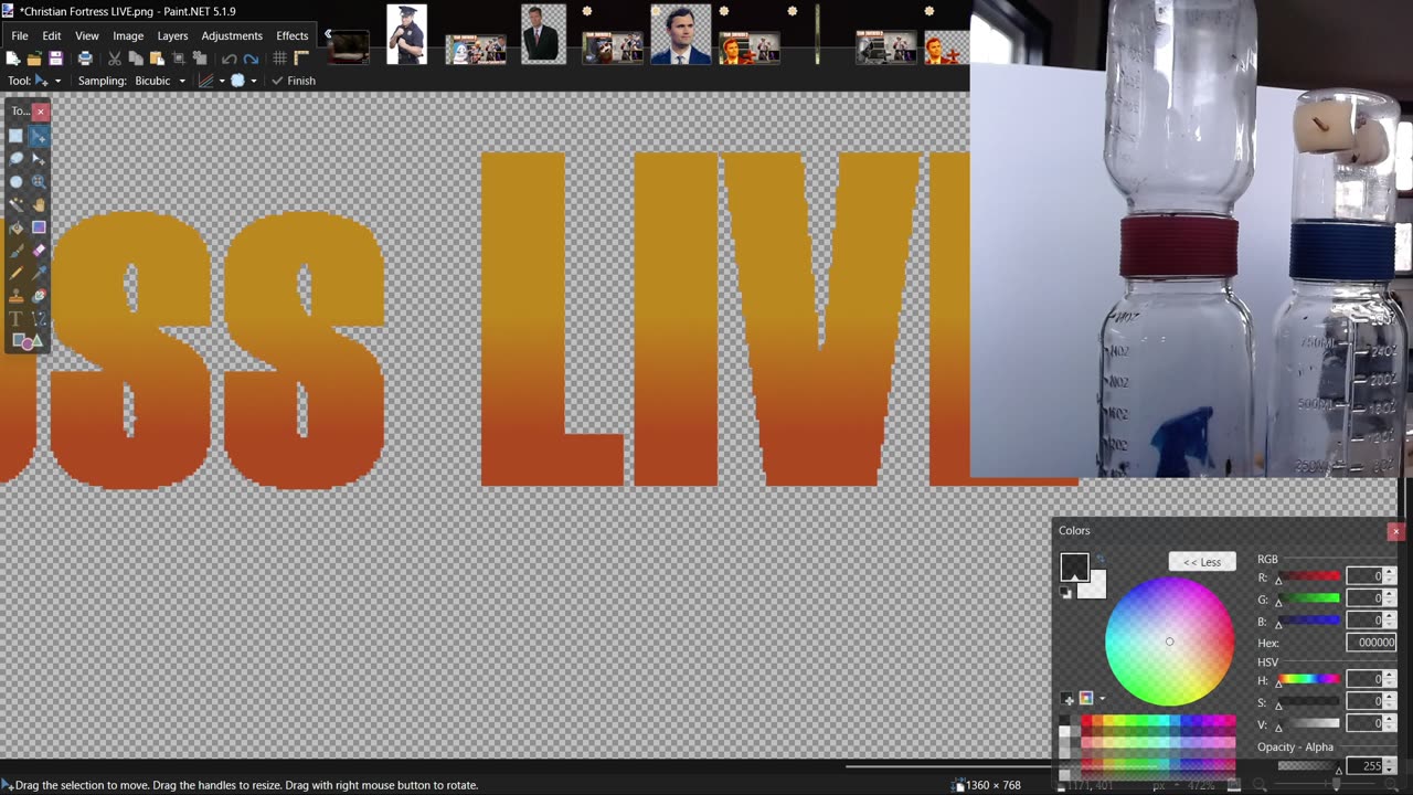 Lev &Virginia? Spider Pairing: Audax (Bold) Jumping Spider. Christian Love LIVE