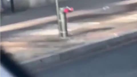 WSJ releases witness footage of Wednesday's attack on National Guard members near White House