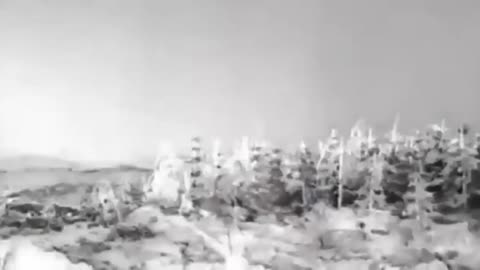 Egyptian Dessert Glass Mystery