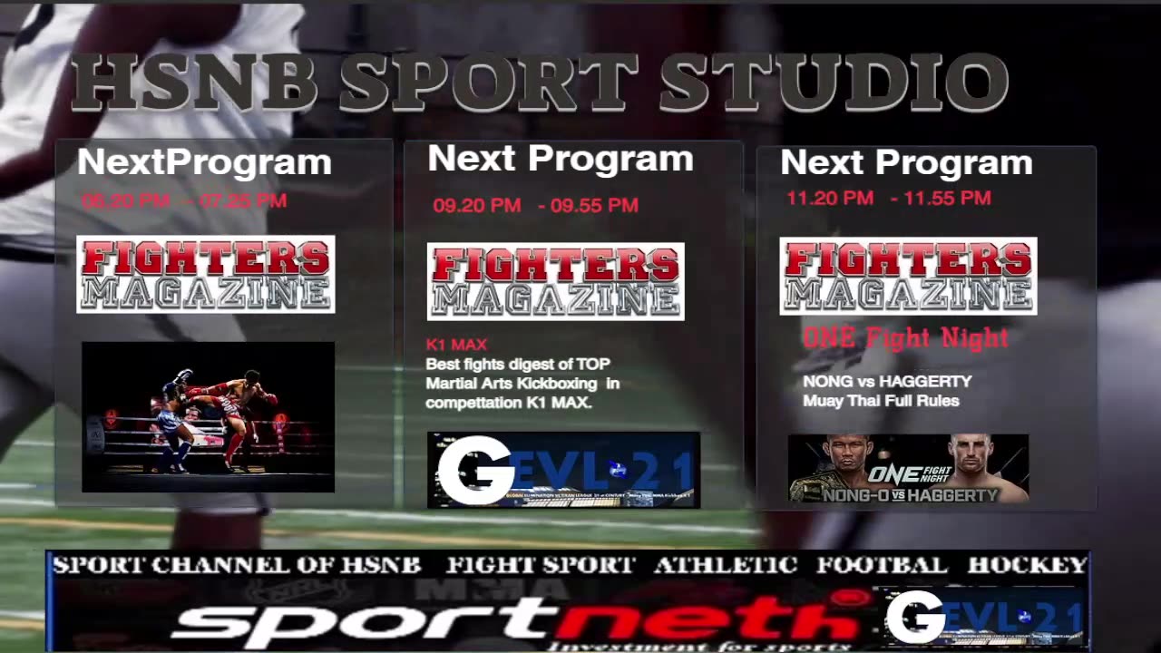 HSNB Skyline Channel 8 - live reatsream from Eutelsat9b